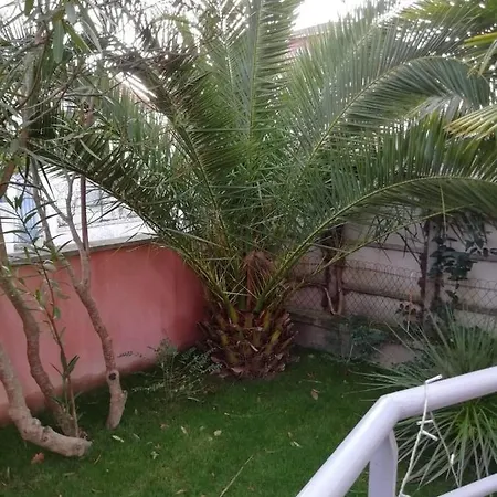 Magda A 30 Mn Pour Ou Cure *