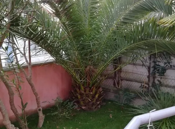 Magda A 30 Mn Pour Ou Cure *